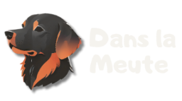 Dans la meute - Educateur canin Logo Dans la meute